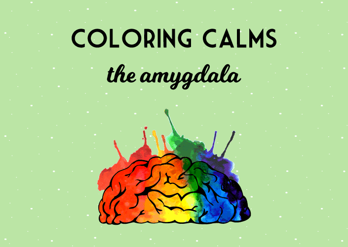 coloring relaxes the amygdala