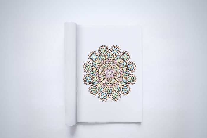 mandala adult coloring book