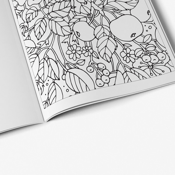 Coloring Books for Adults and the Elderly