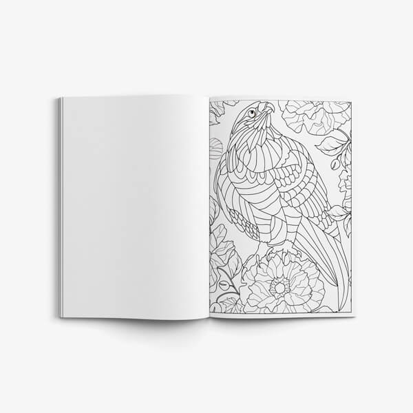 Mandala Color by Number Anti Anxiety Coloring Book for Adult Relaxation  (Large Print / Paperback)