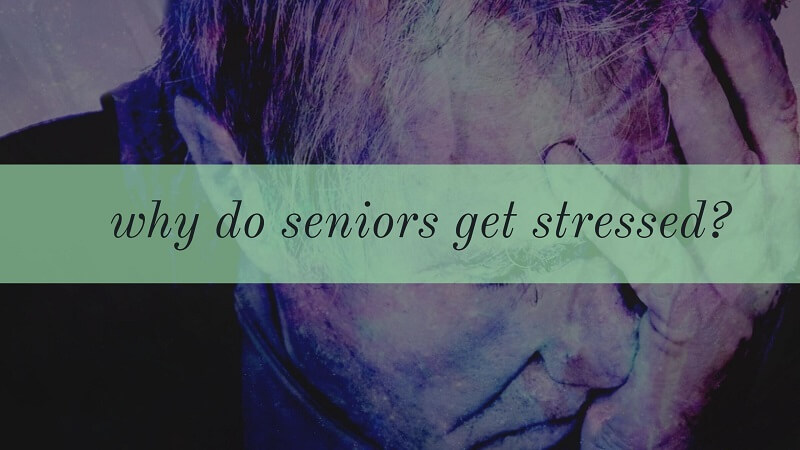 Why do seniors get stressed